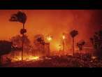 Feux de forêt en Californie : le bilan s'alourdit, un couvre-feu instauré la nuit