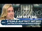 MEINE MEINUNG: Was darf Satire? Heftige Kritik an AfD wegen Äußerungen bei Auftritt von Uwe Steimle