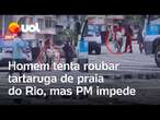 Homem tenta roubar tartaruga de praia do Rio, mas PM impede; veja vídeo