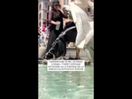 Roma, caldo da bollino rosso: la fontana della Barcaccia presa d'assalto dai turisti