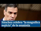 Sánchez califica de "magnífica noticia para España" el fallo del Constitucional sobre la amnistía