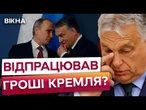 УКРАЇНА не ВСТУПИТЬ до НАТО та ЄС!  ЗАЯВИ угорських посадовців на КОРИСТЬ РОСІЙСЬКОЇ пропаганди
