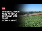 Licenciamento: agro articula derrubada de veto sobre autodeclaração | CNN NOVO DIA