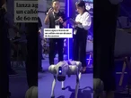 Así son los perros robots que acompañan al hombre de a pie, al bombero y al policía en China