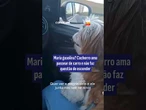 Maria gasolina? Cachorro ama passear de carro e não faz questão de esconder