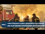 EUROPA IN FLAMMEN: „Ich habe wirklich Angst!“ Feuerwalze vor Bordeaux – Hunderttausende flüchten