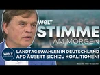 AFD: Migration, BSW, Sachsen-Anhalt, Russland! Baumann packt aus und nennt Details STIMME AM MORGEN