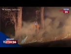 Usa, incendi in Oregon e California: i vigili del fuoco combattono tra le fiamme
