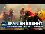SPANIEN: Waldbrände in Südeuropa - 25.000 Hektar Land zerstört – Militär unterstützt Löscharbeiten