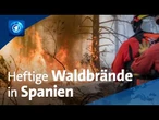 Spanien: Waldbrände vernichten 32.000 Hektar bei Madrid
