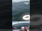 2 snorkelers rescued after a powerful rip current swept them away
