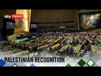 Two state solution summit takes place at the United Nations