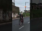 De óculos escuros, cachorro passeia de bicicleta como se fosse uma celebridade