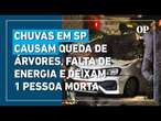 Temporal em SP causa queda de árvores, falta de energia em mais de 70 mil imóveis e deixa uma morta