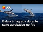 Baleia faz salto acrobático no Rio de Janeiro e é flagrada por fotógrafo; assista ao vídeo