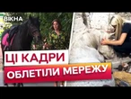 Важко ВТРИМАТИ СЛЬОЗИ! У ОДЕСІ прощалися із КОНЕМ, якого росіяни ВБИЛИ ШАХЕДОМ 11.07.2025