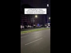 Sfuggono ai militari i cavalli per la parata del 2 giugno: la corsa al galoppo nelle strade di Roma