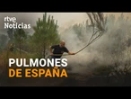 El CAMBIO CLIMÁTICO AUMENTA la FRECUENCIA de los GRANDES INCENDIOS FORESTALES | RTVE Noticias