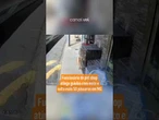 Funcionário de pet shop atinge gaiolas com moto e solta mais de 50 pássaros em MG; vídeo