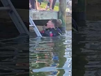 Florida firefighters called to rescue dog stuck in a canal encounter a coyote