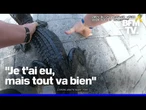 Un policier retire à mains nues un alligator d'une piscine en Floride