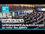 COP16 en Italie : le financement de la biodiversité au coeur des débats • FRANCE 24