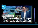 Bagarres, spectatrices plantureuses… Attention à ces images du mondial de foot • FRANCE 24