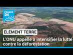 L'ONU appelle à plus d'engagement des Etats contre la déforestation • FRANCE 24