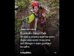 Il puledro Drago cade in una scarpata il giorno dopo essere nato: salvato in elicottero