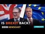 Why is the United Kingdom Debating Brexit Again? | BBC Newscast