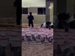 Dominican Republic seize cocaine from Venezuelan boat