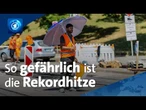 Hitze-Rekorde in Deutschland: So gefährlich ist die Hitze