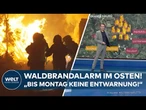 OSTDEUTSCHLAND: Feuer außer Kontrolle! 600 Hektar Wald in Flammen – Evakuierungen in Sachsen!