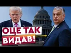 ТРАМП підтримав ОРБАНА! Америка ПРОТИ? ГУЧНА ЗАЯВА З ВАШИНГТОНА