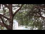 Maltempo sulla Riviera Romagnola, lettini "volati" sugli alberi a Rimini