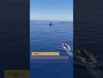 Avistadas tres ballenas espectaculares frente a las playas de Fuengirola
