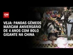 Pandas gêmeos marcam aniversário de 4 anos com bolo gigante na China | CNN BRASIL