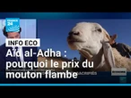 Aïd al-Adha : pourquoi le prix du mouton flambe dans plusieurs pays • FRANCE 24