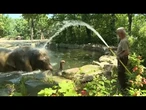 Alors que l'Europe suffoque, les éléphants et les ours du zoo de Berlin se rafraîchissent