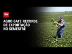 Agro brasileiro bate recorde de exportações no semestre, diz ministério | CNN AGRO NEWS