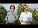Crowd Farming : la plateforme qui veut mieux nourrir l’Europe