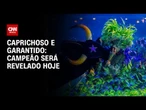 Festival de Parintins 2025: campeão será revelado nesta segunda-feira (30) | CNN NOVO DIA