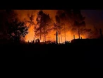 En images : les pompiers portugais luttent contre des incendies majeurs en pleine canicule estivale