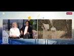 Wiktor i Agnieszka Metko "Dom pod dobrymi skrzydłami" | #RepublikaWstajemy | 08.10.25