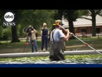 Reflecting Pool troubles
