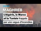 L'Algérie, le Maroc et la Tunisie frappés par une vague d'incendies • FRANCE 24