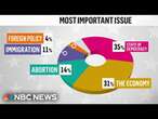 First look at exit poll data as final votes are cast