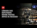 Quais serão as pautas prioritárias da Câmara dos Deputados antes do recesso? | CNN NOVO DIA