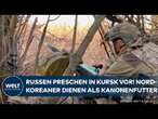 KAMPF UM KURSK: Russen erobern ihr Gebiet zurück! Putin schickt nordkoreanische Soldaten in den Tod