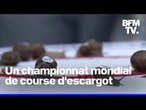 L'Angleterre a accueilli un championnat mondial de course d'escargot